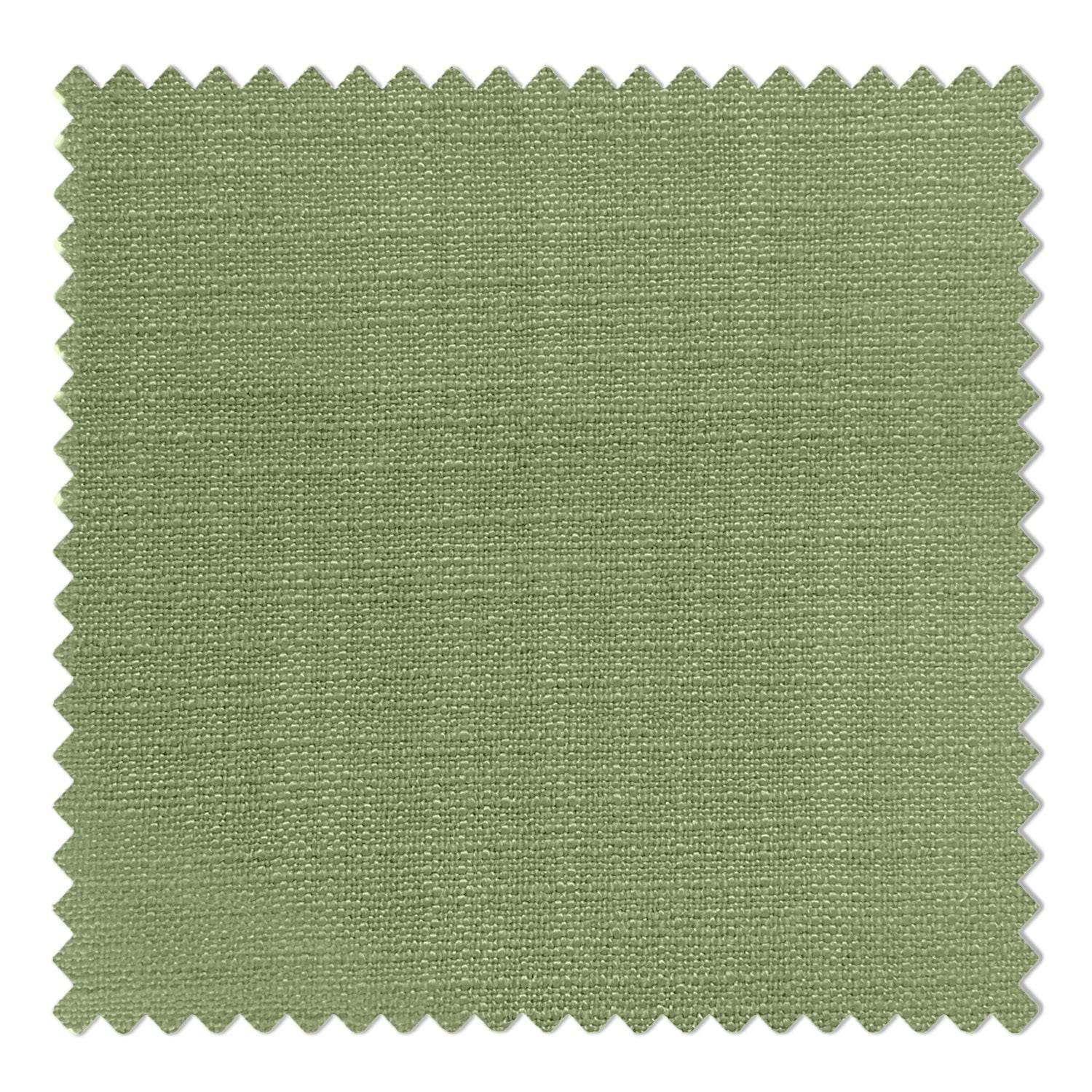 #29 Olive-1908 - Cololeaf -- 