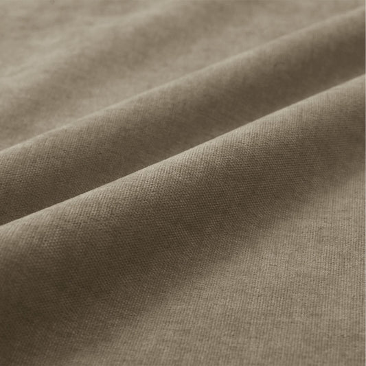 #24 Palm-1041 - Cololeaf -- 