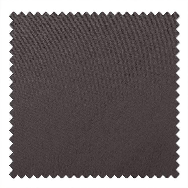 Chocolate-Regal - Cololeaf -- 